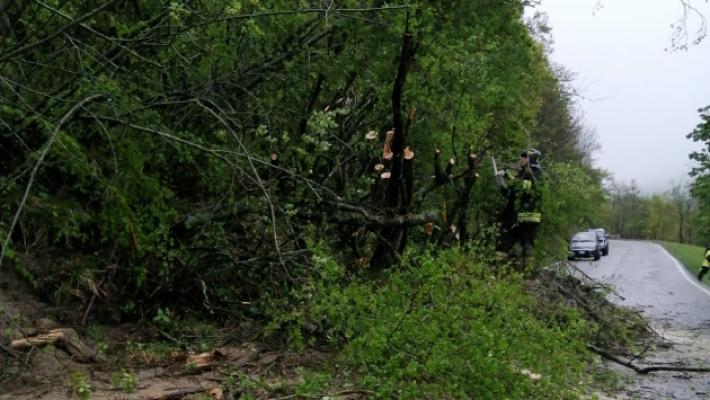 Riaperta dopo la frana la Strada Provinciale 20