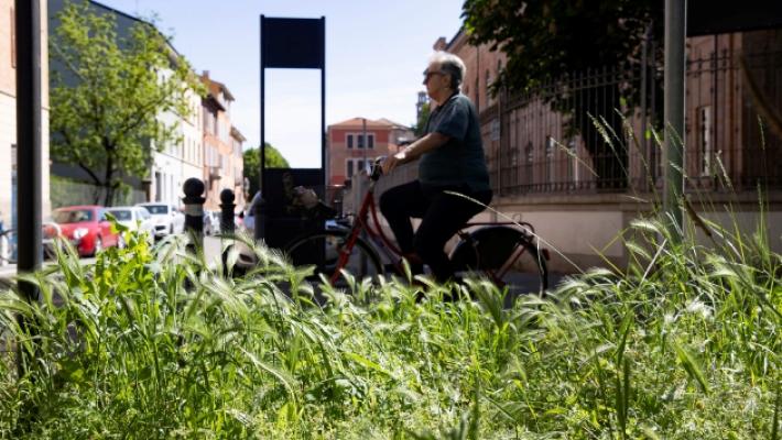 Erba alta e siepi pericolose: una citt&agrave; da sfalciare. Ecco la mappa dei quartieri