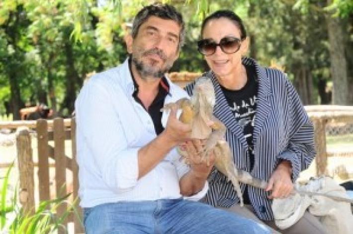 Muore precipitando da una scala Gianni Garbellini, marito di Tamara Baroni