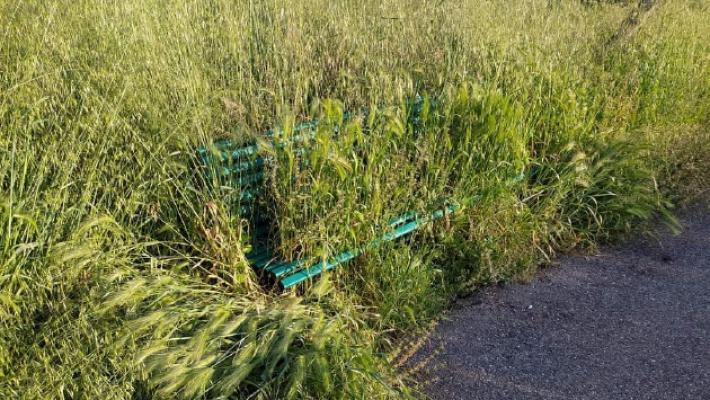 Sfalci, &laquo;il sindaco difende l'indifendibile. Errori clamorosi&raquo;. Forza Italia, Bocchi (FdI) e Dalla Tana all'attacco