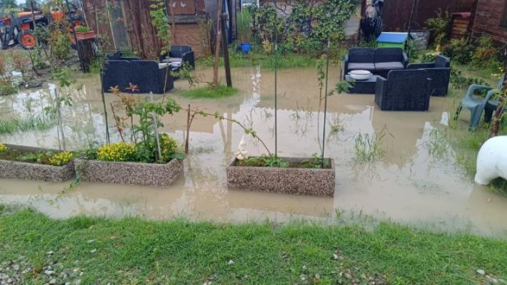 Rebecca nella morsa del fango: &laquo;Aiutate i nostri animali&raquo;