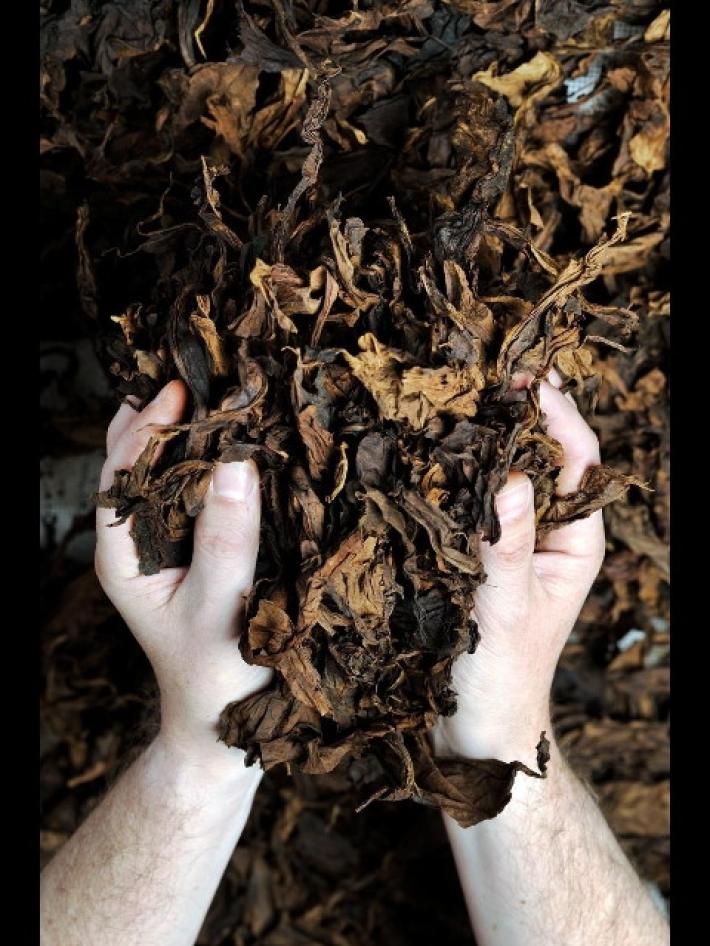 L'Antico Toscano &egrave; il sigaro 'migliore al mondo' (fuori dai Caraibi)