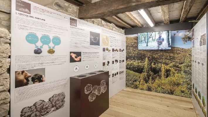 Il tartufo di Fragno ha il suo museo per celebrarlo