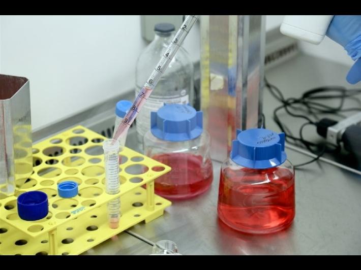 Covid, 60 casi nelle scuole in regione (dalla riapertura), Donini: "I protocolli funzionano"