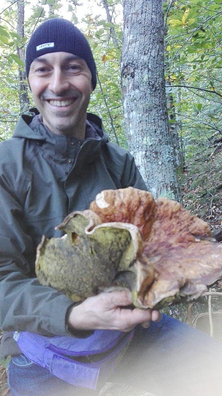 Il maxi-fungo da 1,6 kg trovato da Massimo