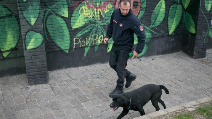 Neviano, anziana si allontana da una struttura: trovata morta