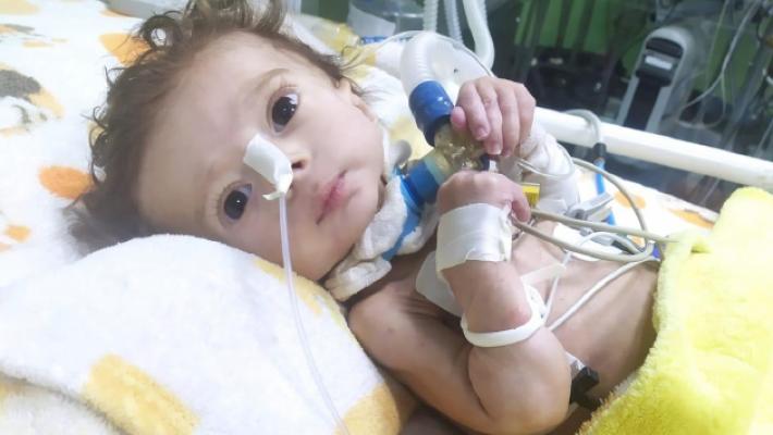 Domani il bimbo di Gaza Seifeddin sar&agrave; sepolto a Parma: &egrave; il simbolo della pace