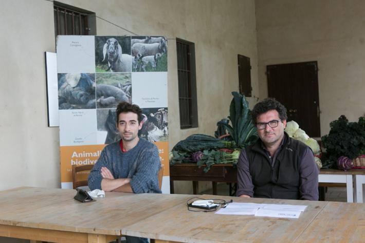 A ottobre il Festival del peperoncino e &laquo;Pane, olio e vino&raquo;  