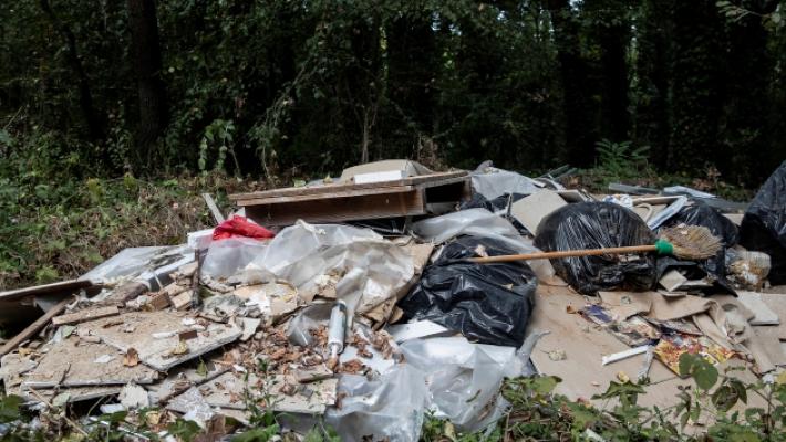 All'appello per il bosco di Tommy in tanti rispondono; sindaco compreso