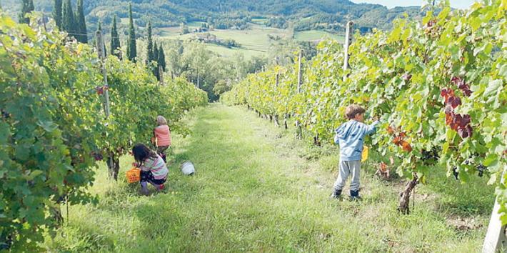 Vini di Vignaioli, l'emergenza sanitaria fa saltare la rassegna
