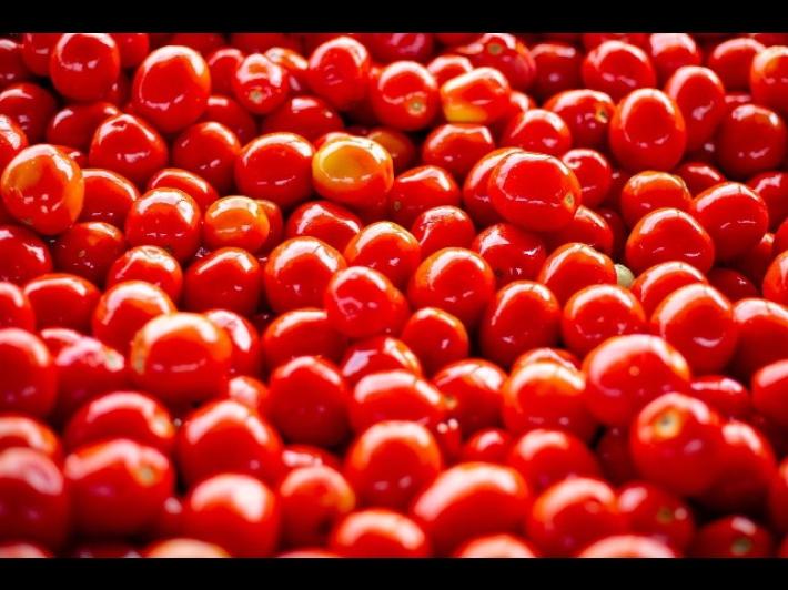 Rodolfi Mansueto capofila del progetto "Tomato blockchain"