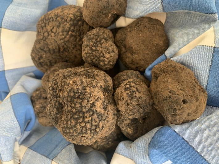 Bedonia, annullata la fiera del tartufo