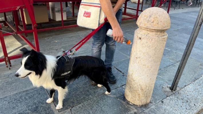 La bottiglia anti-pip&igrave; per i cani? Pochi la usano e c'&egrave; chi brontola