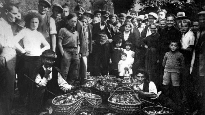 I &laquo;Frati cerconi&raquo; e le storie di Fra Ranaldo, protettore dei fungaioli