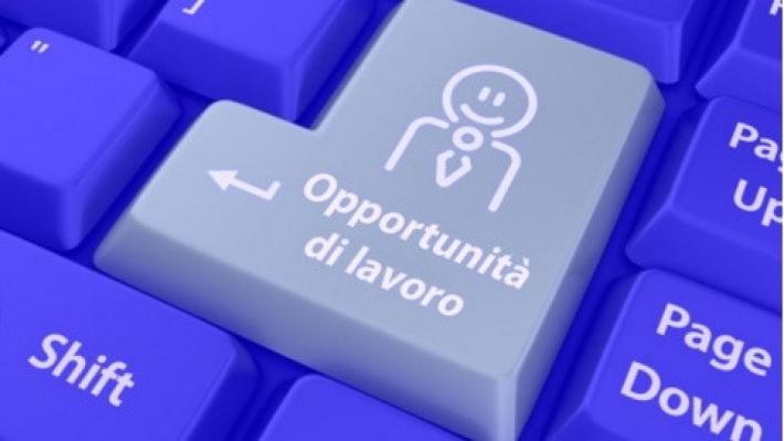 11 opportunit&agrave; per chi cerca lavoro