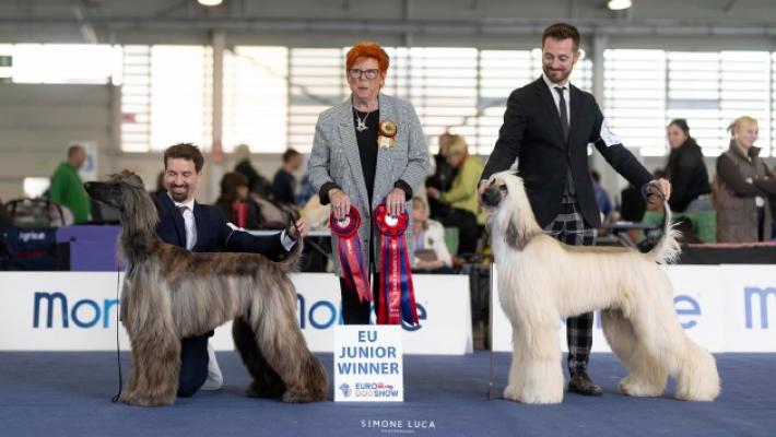 Cani da podio, Parma &laquo;sbanca&raquo; in Europa