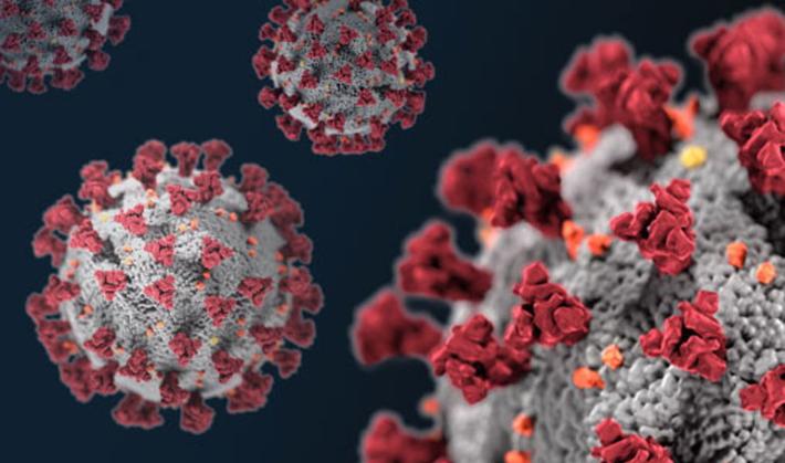 Crisanti: "A Natale bisogna chiudere tutto per tre settimane"