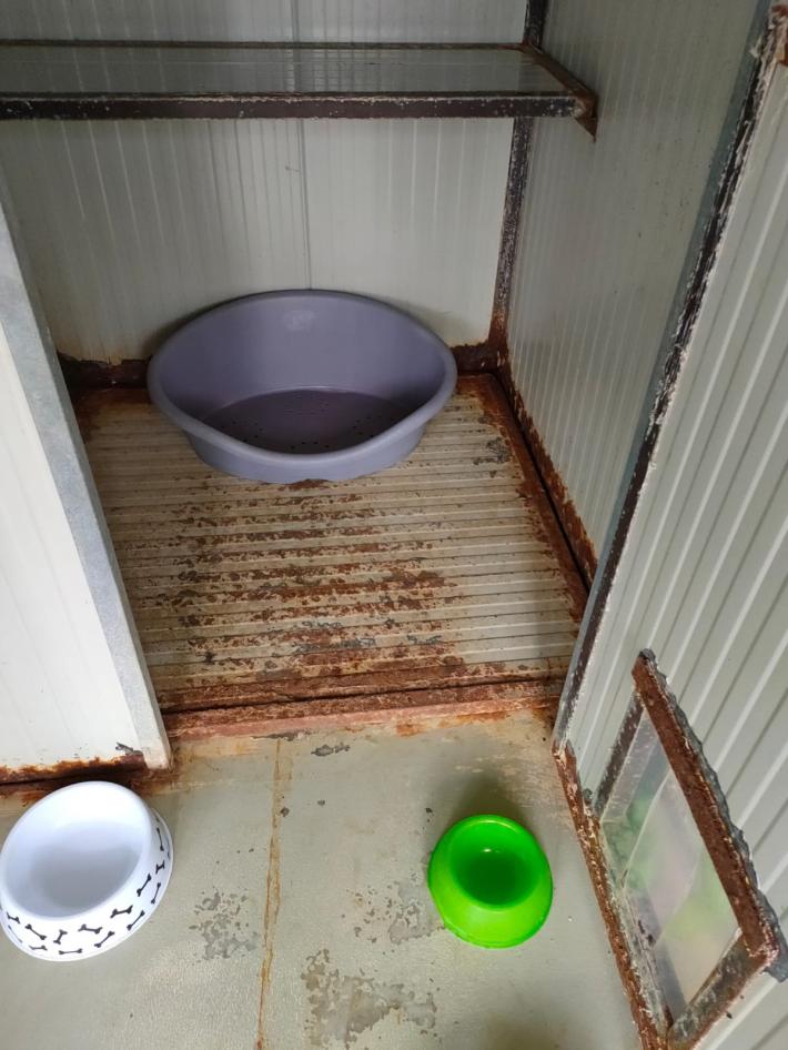 &laquo;Al Canile gattile di Parma mancano i veterinari. Animali malati e box arrugginiti&raquo;