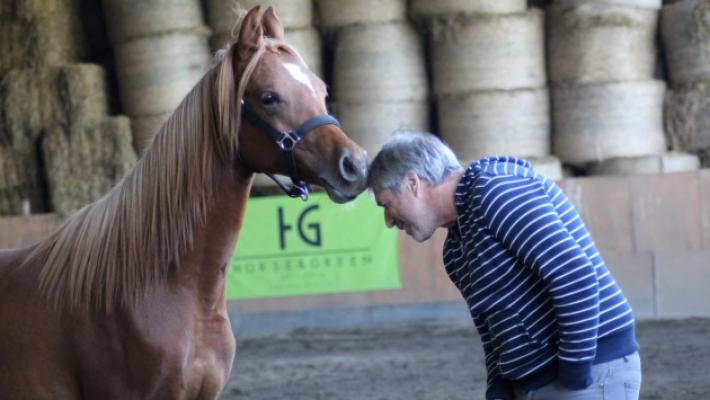 La lezione di Francois Pignon, l'uomo che sussurra ai cavalli