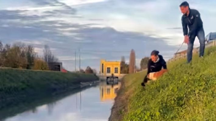 Cucciolo cade nel canale: la madre abbaiando attira i passanti che lo salvano