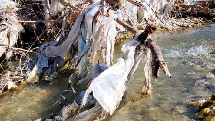 Appello per il torrente Baganza: &laquo;&Egrave; inquinato, bisogna ripulirlo&raquo;