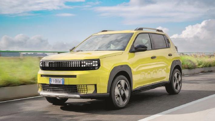 Grande Panda e le altre