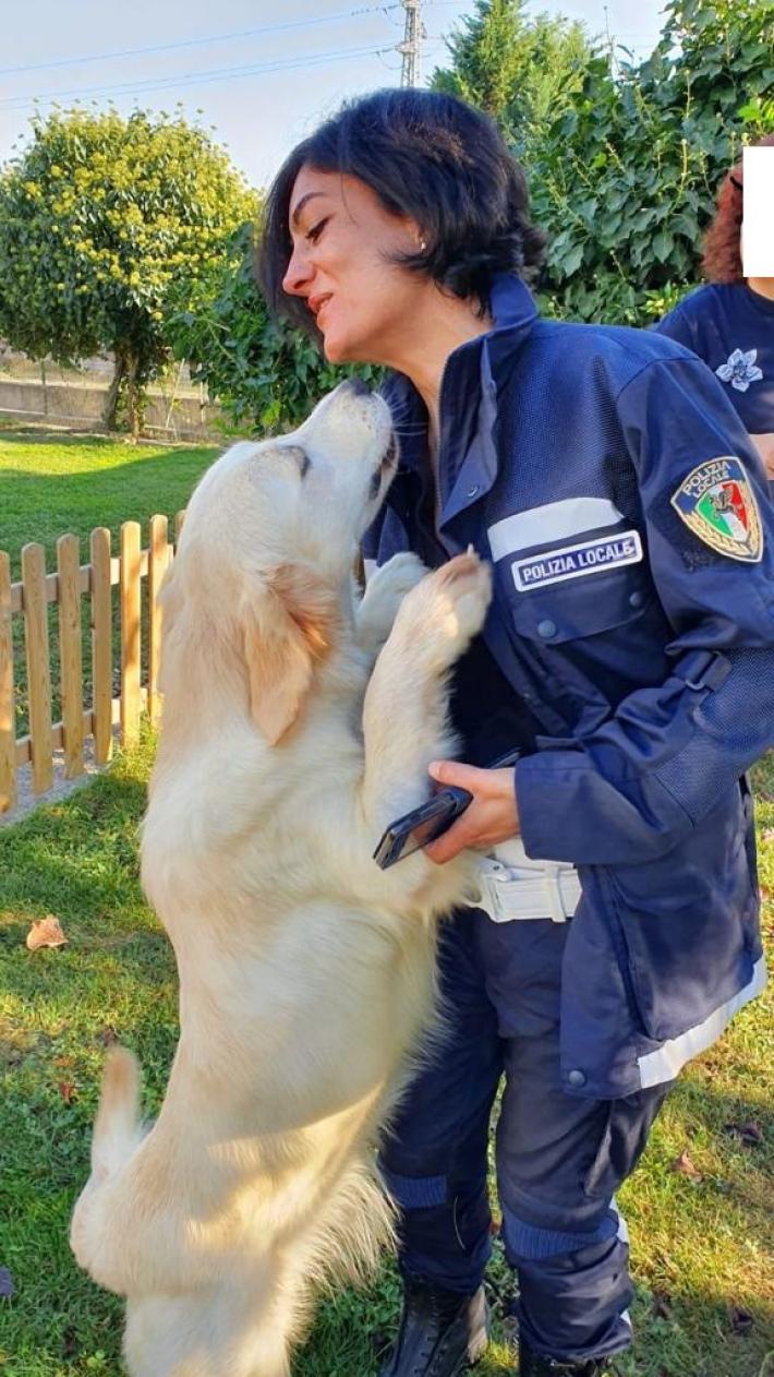 Maltratta un cane che poi muore: trentenne denunciato