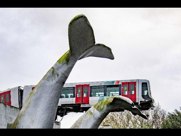 Rotterdam: la statua di una balena salva il metro che deraglia