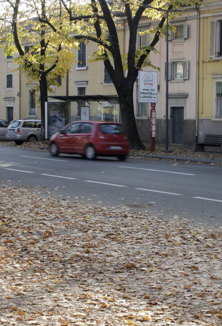 Foglie secche non raccolte nelle strade, rischio cadute