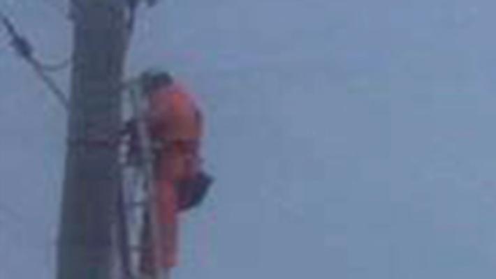 Disagi a Pellegrino: 102 utenze senza luce per ore