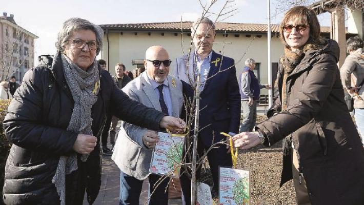 Avis comunale: tengono le donazioni, aumentano i donatori sf2 Titolo box Titolo Box