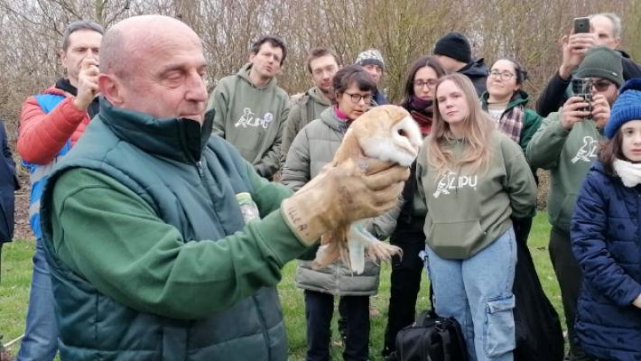 Quei rapaci &laquo;riabilitati&raquo; che tornano a volare liberi