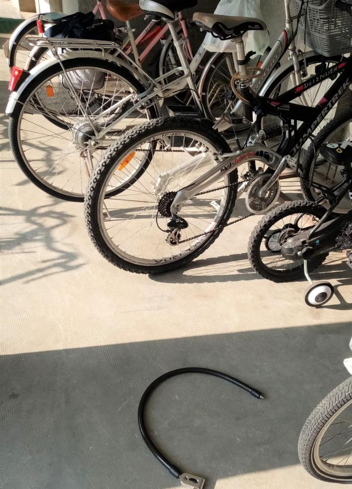 Ladri di biciclette, raffica di furti