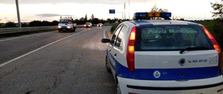 Girava con l'auto sequestrata: patente revocata e multa da 2000 euro