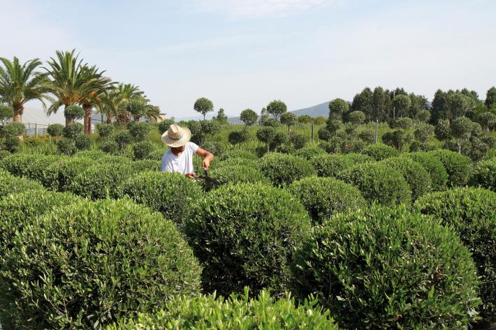 KilometroVerdeParma: Giorgio Tesi Group diventa socio sostenitore