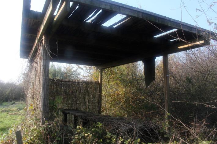 Zibello, l'oasi naturalistica &laquo;Le galline&raquo; &egrave; ridotta a una giungla