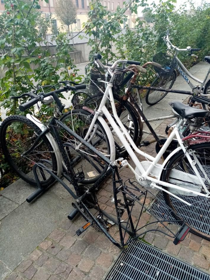 Ancora furti di bici: erano chiuse con catene