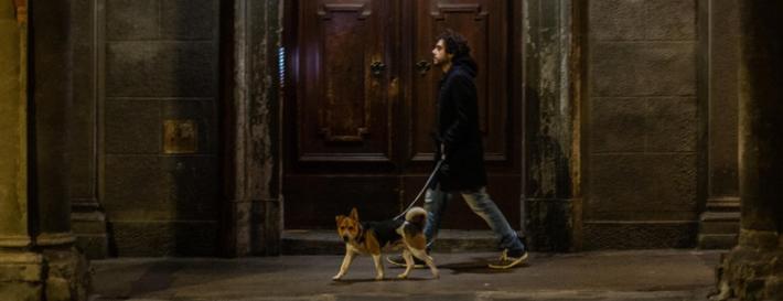 Ma dopo le 22 posso portare fuori il cane? Attenzione, solo sotto casa