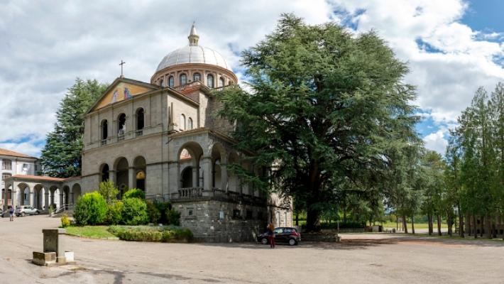 Alberi, i 13 colossi che hanno visto il Risorgimento