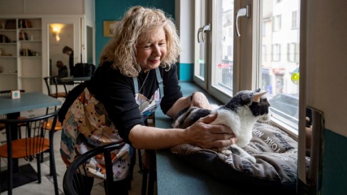 Apre il bar dove i gatti sono i padroni di casa