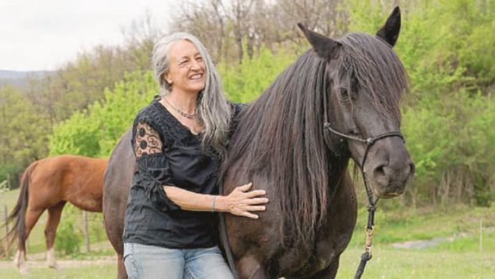 Fili d'erba: cavalli e pecore immersi nella natura