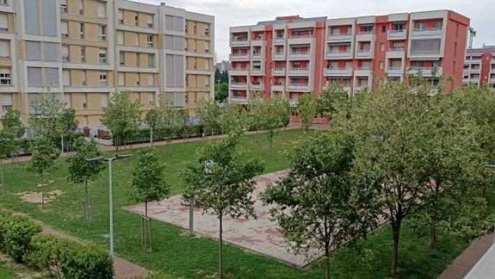 Residente del quartiere Parma Mia sgrida dei ragazzi, colpito alla testa con un bastone