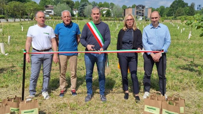 Traversetolo, ecco il &laquo;Bosco urbano&raquo;
