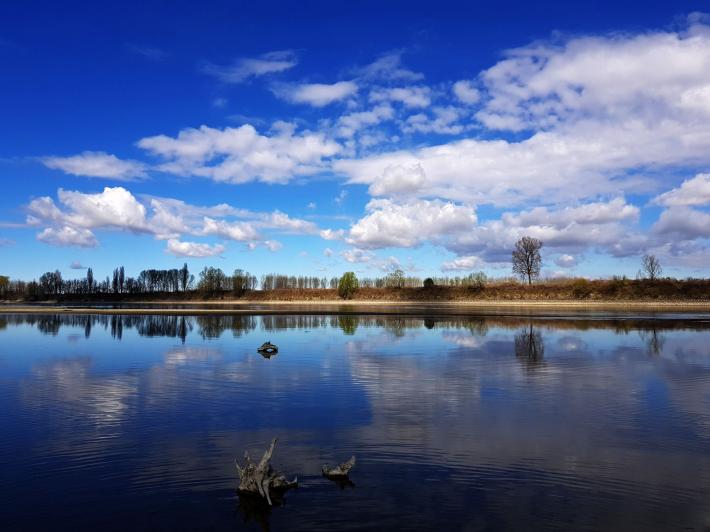 Essere &laquo;arancioni&raquo; in zona rossa: lo strano caso dell'eremita sul Po