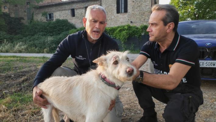 &laquo;Hanno aperto il box dei cani nel mio giardino a Vigatto e hanno sparato a Nala, mamma di 2 cuccioli&raquo;