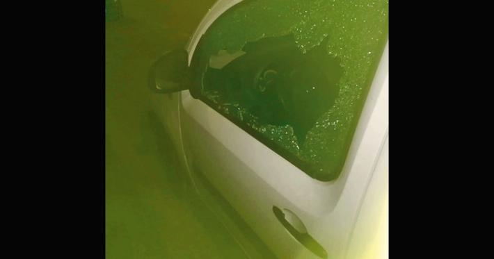 Via Brambilla ladri in azione: finestrino sfondato