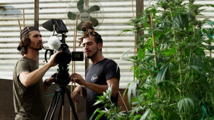 Due registi parmigiani nel paese dei coltivatori di marijuana