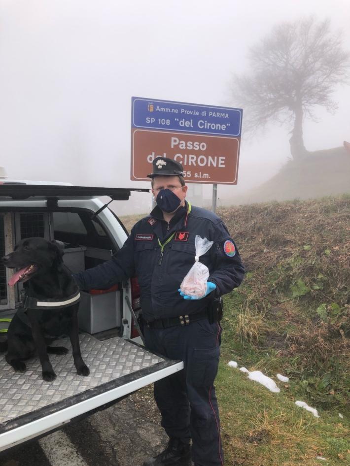 Passo del Cirone, tartufino li segnala e la Forestale fa una maxi-bonifica di bocconi avvelenati