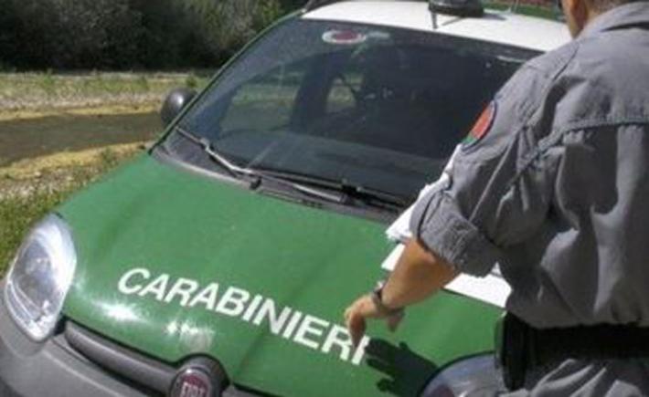 Traffico di rifiuti da 8 regioni (Emilia compresa) verso Ancona, multe per 14 milioni