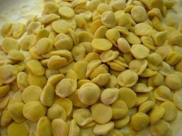 Gli anolini di magro, signori del gusto